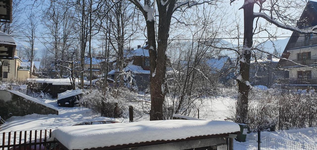 Vip Apartamenty Tytus Zakopane Exterior foto